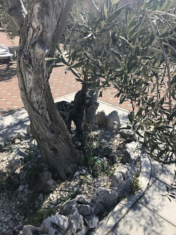 Casa Dolcevita Šibenik Екстериор снимка